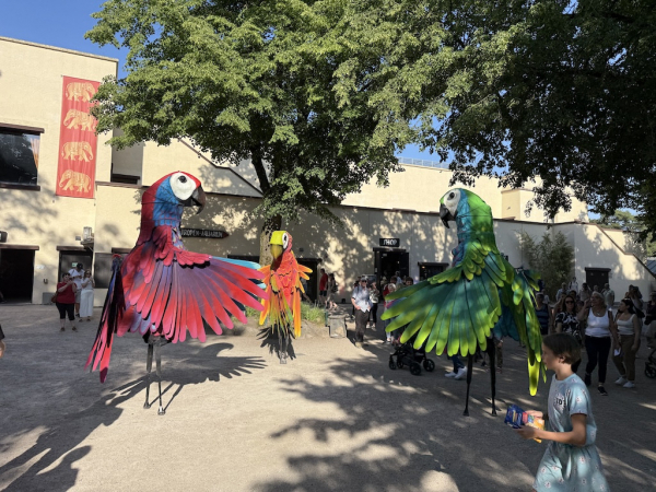 Dschungel-Nächte 2025 im Tierpark Hagenbeck