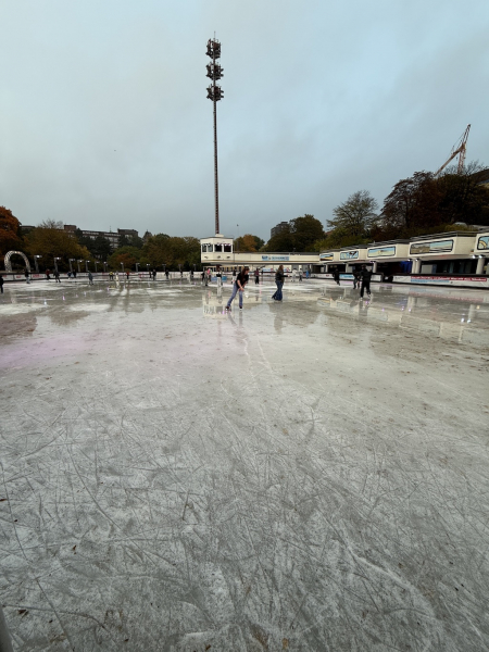 EisArena in Planten un Blomen