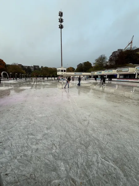 EisArena in Planten un Blomen