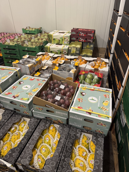 Führung über den Hamburger Großmarkt