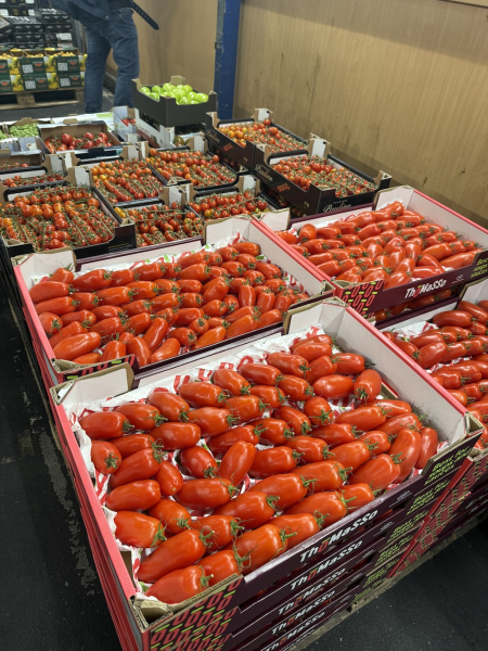 Führung über den Hamburger Großmarkt