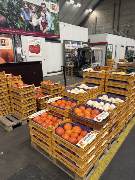 Führung über den Hamburger Großmarkt