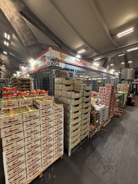 Führung über den Hamburger Großmarkt