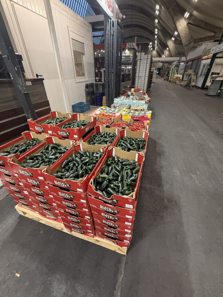 Führung über den Hamburger Großmarkt