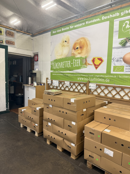 Führung über den Hamburger Großmarkt