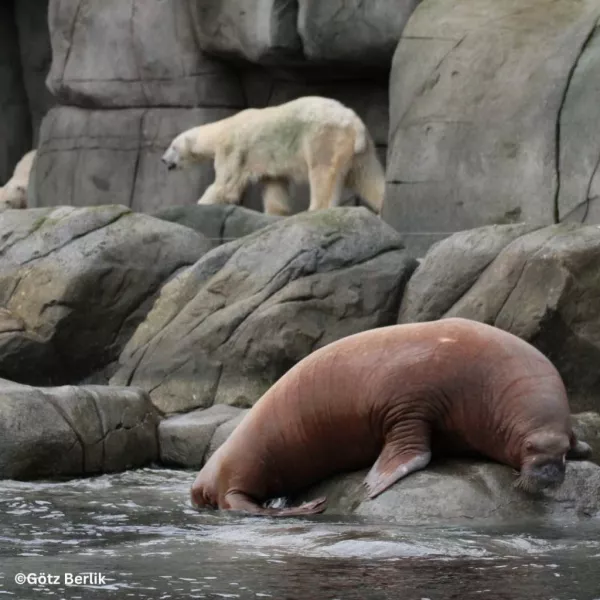 Tierpark Hagenbeck