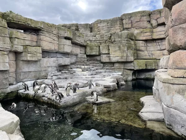 Tierpark Hagenbeck