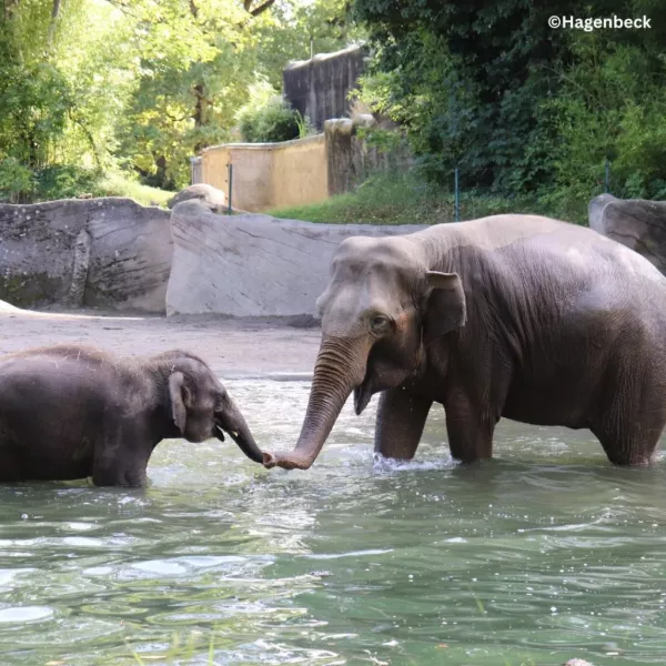 Tierpark Hagenbeck