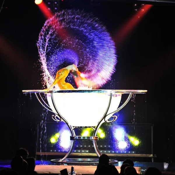 La Piazza X-MAS Show – Der Hamburger Weihnachtscircus auf der Horner Rennbahn