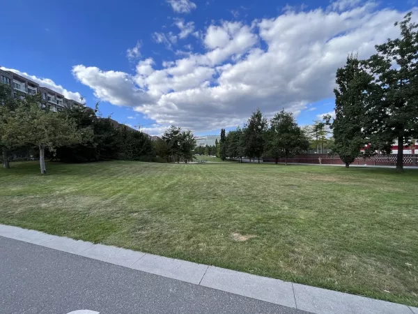 Lohsepark