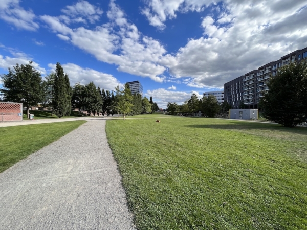 Lohsepark