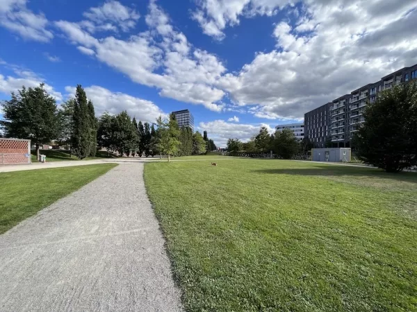 Lohsepark