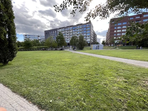 Lohsepark