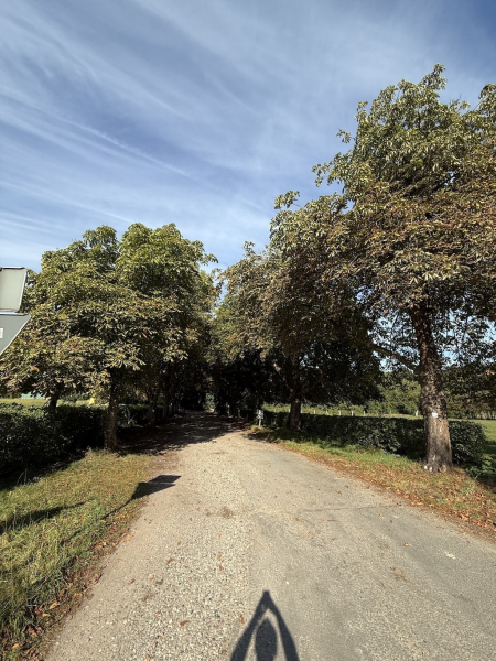 Märchenwanderweg Jesteburg