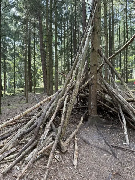 Märchenwanderweg Jesteburg