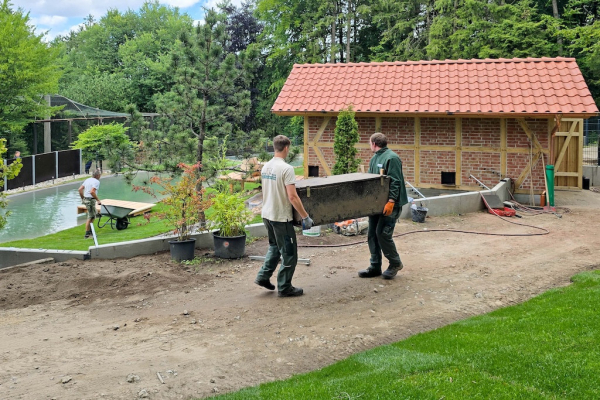 Neues Zuhause für Familie Otter im Wildpark Lüneburger Heide
