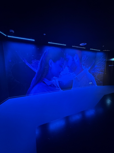 Paradox Museum Hamburg – Die Welt steht Kopf