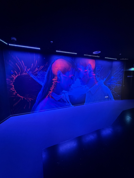 Paradox Museum Hamburg – Die Welt steht Kopf