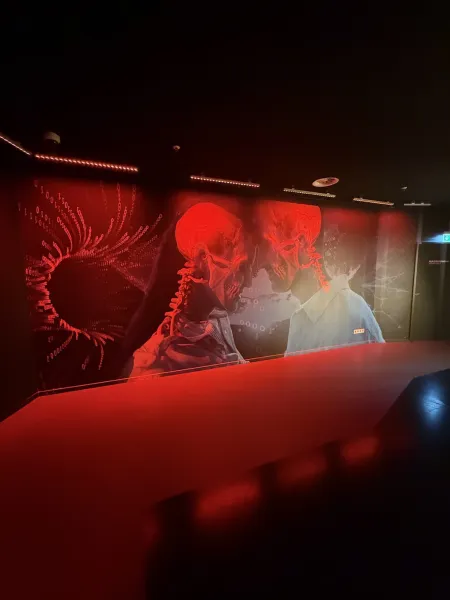 Paradox Museum Hamburg – Die Welt steht Kopf