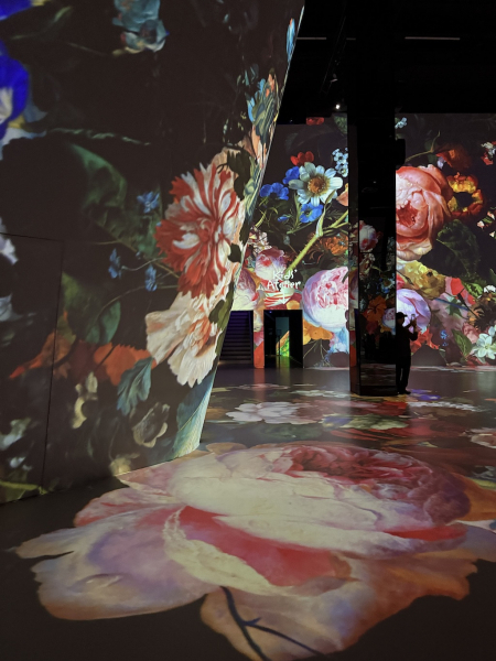 Port des Lumières: Museum für immersive Kunst in Hamburg