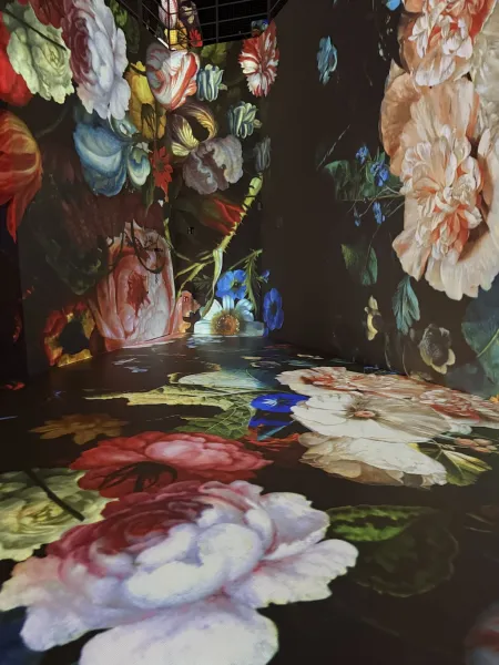 Port des Lumières: Museum für immersive Kunst in Hamburg