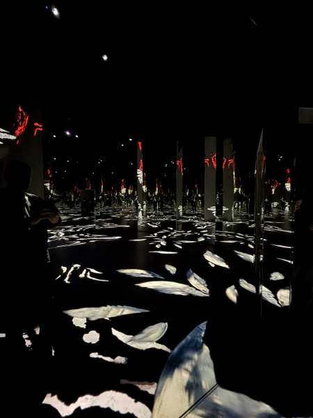 Port des Lumières: Museum für immersive Kunst in Hamburg