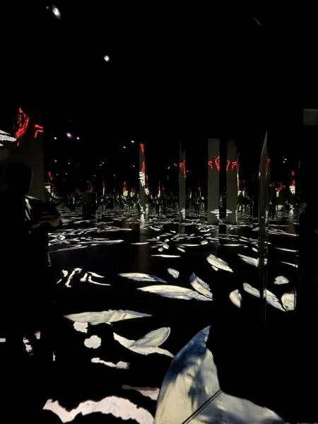 Port des Lumières: Museum für immersive Kunst in Hamburg