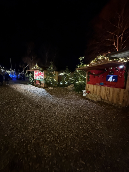 Sierichs Weihnachtszauber 2025 – Ein stimmungsvoller Familien-Weihnachtsmarkt im Hamburger Stadtpark