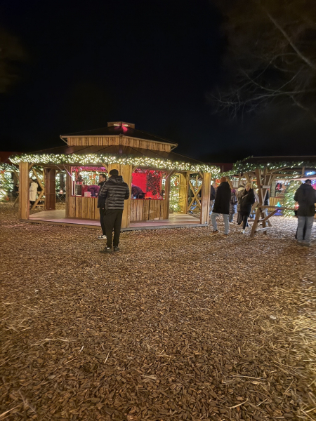 Sierichs Weihnachtszauber 2025 – Ein stimmungsvoller Familien-Weihnachtsmarkt im Hamburger Stadtpark