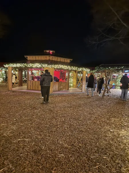Sierichs Weihnachtszauber 2025 – Ein stimmungsvoller Familien-Weihnachtsmarkt im Hamburger Stadtpark