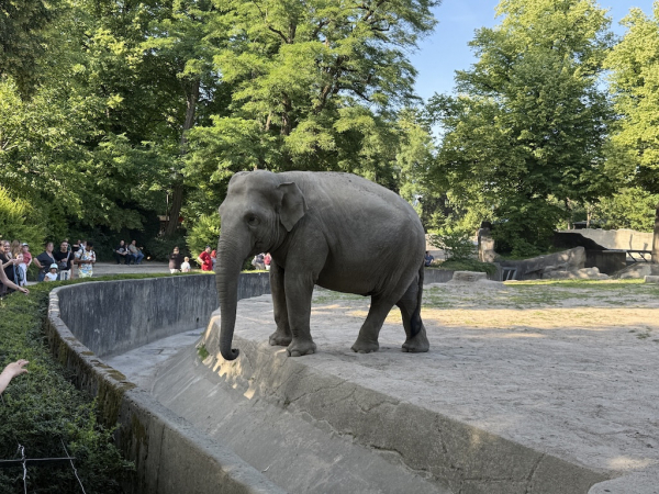 Tierpark Hagenbeck
