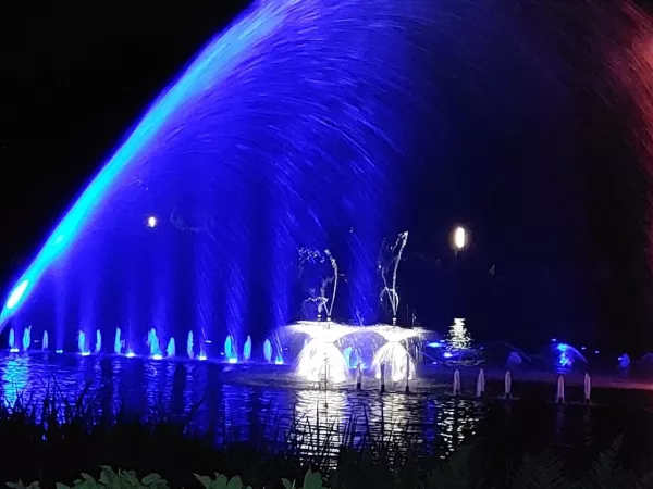 Wasserlichtkonzerte