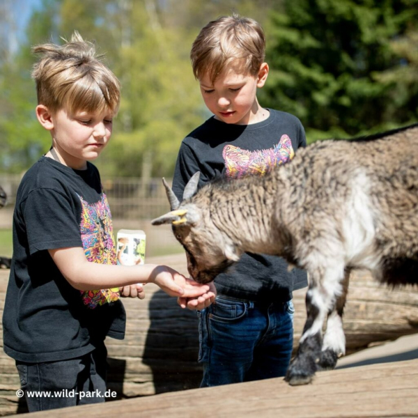 Der Wildpark Lüneburger Heide