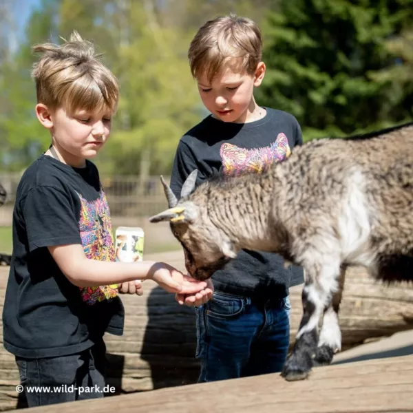 Der Wildpark Lüneburger Heide