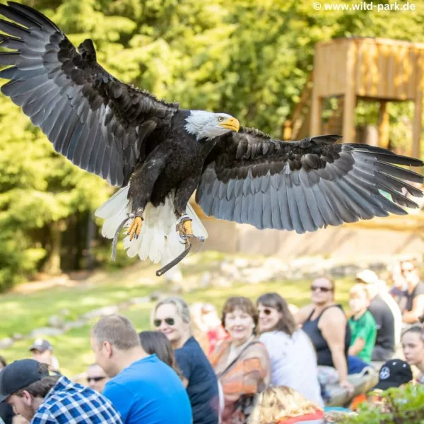 Der Wildpark Lüneburger Heide