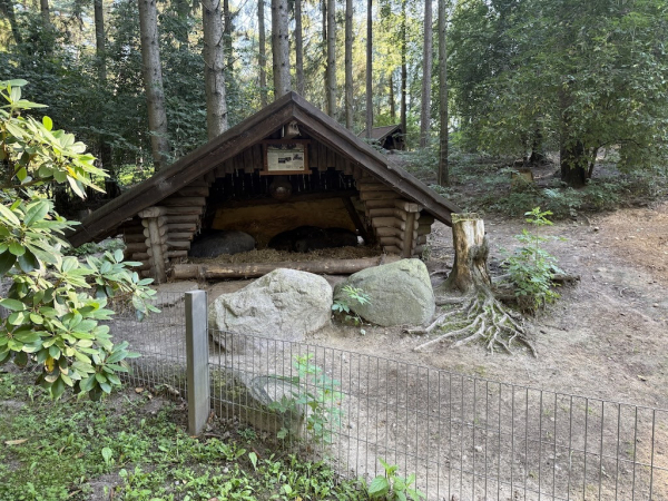 Wildpark Schwarze Berge