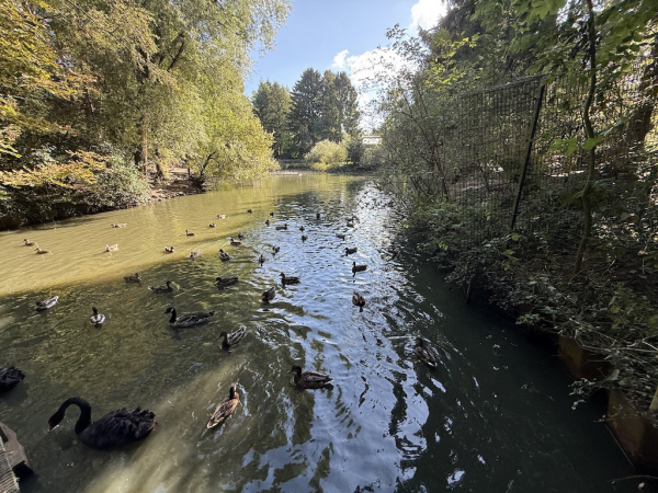 Wildpark Schwarze Berge