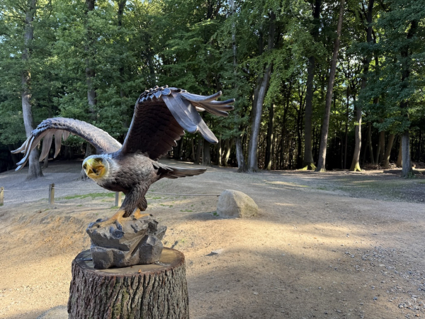 Wildpark Schwarze Berge