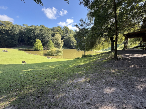 Wildpark Schwarze Berge