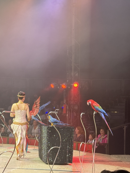 Zirkus Charles Knie - Hamburg - 22. Mai - 22. Juni 2025